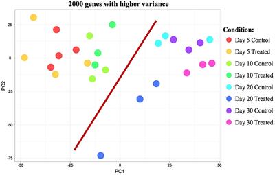 Global Transcriptomic Analysis of the Canine corpus luteum (CL) During the First Half of Diestrus and Changes Induced by in vivo Inhibition of Prostaglandin Synthase 2 (PTGS2/COX2)